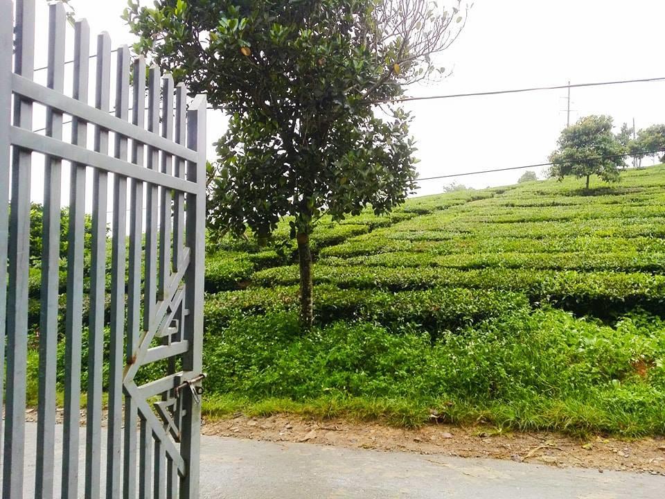 Homestay Moc Chau Exterior photo